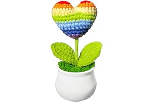 Aqltidiz Crochet Rainbow Love Decoration, Meticulously Hand-Knitted Ornament for Decor & Emotions, Ideal Birthday Party Gift to Spread Warmth, Embrace Every Shade of Love