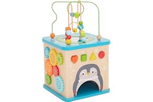 鶹 Basics Wooden Activity Learning Cube, 5-Sided Developmental Toy for Babies, Toddlers, Children Age 12+ Months, Multico