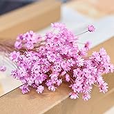Natural - Dried - Flowers Brazilian Small Star Daisy Dried Decorative Mini Chamomile Bouquet for Wedding Floral Arrangements Home Decorations Valentine's Day Gifts (200 Stems) (Light Purple )