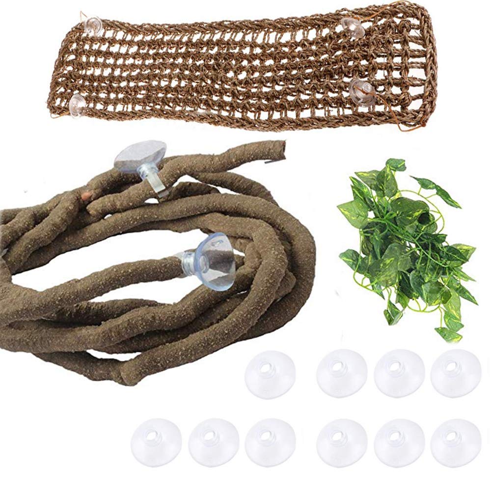 Best reptile hammock bearded dragon