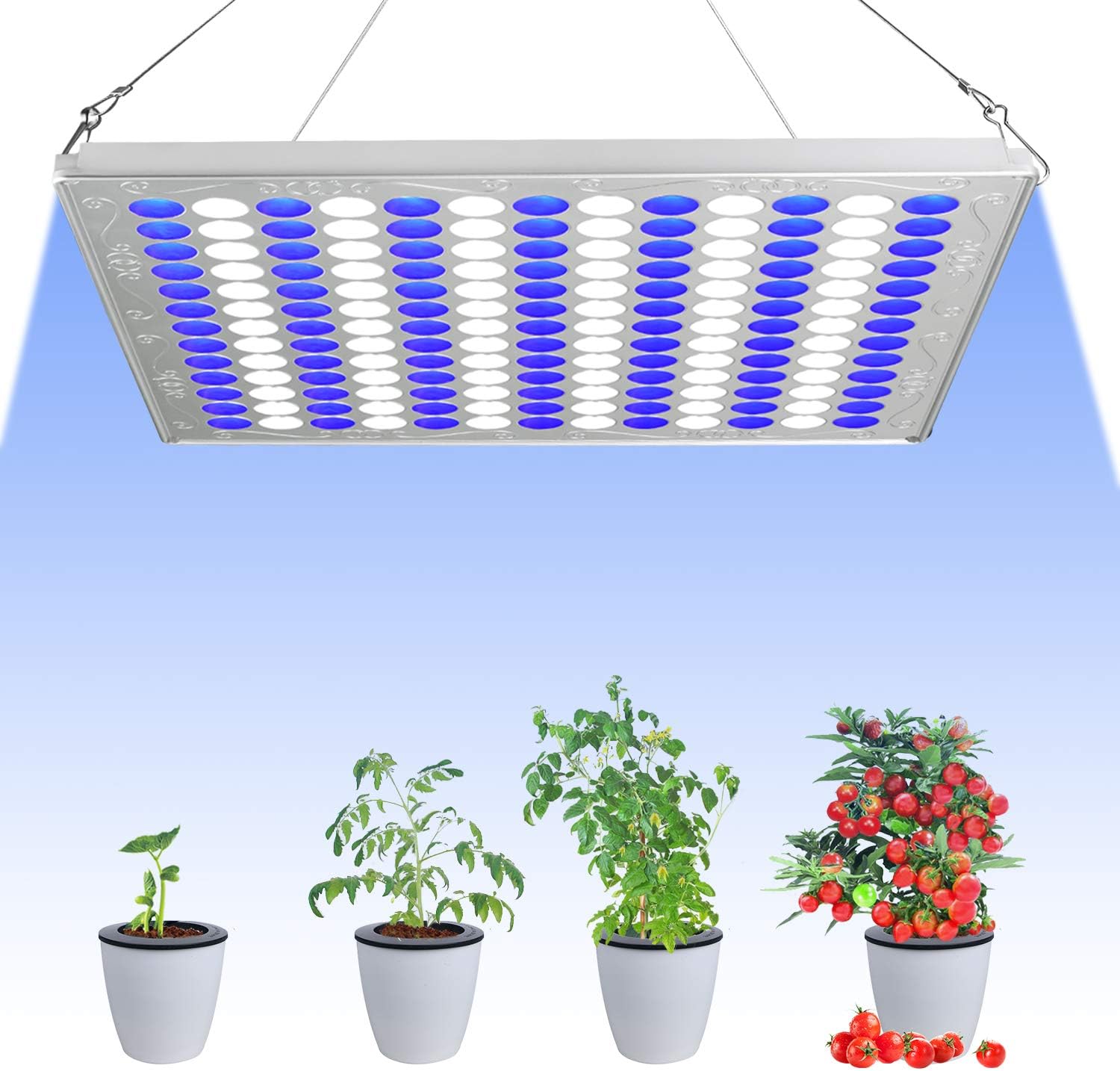 TOPLANET LED Grow Light 75W Full Spectrum Plant Light for Indoor Plants Hydroponic Seedling Veg and Flower Fish Tank Decoration(169 leds Blue/White)
