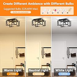 Feanron 2-Light Flush Mount Ceiling Light