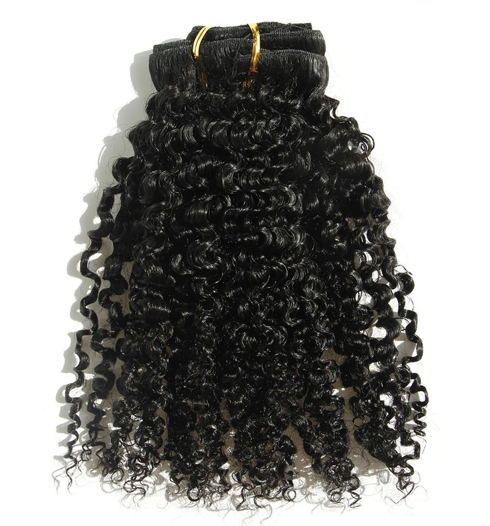 Young Hair 100% Brazilian Virgin Human Hair 3B 3C Kinky Curly Clip In Clip On Hair Extenstion(3B-3C, 18
