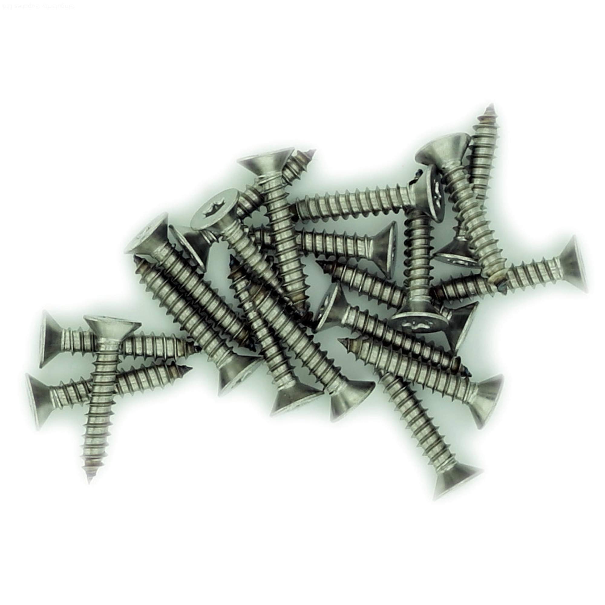 No.6 x 0.875 (3.5mm x 22mm) TX Countersunk Self-Tapping Screw - Stainless Steel (A2) (Pack of 20)