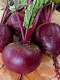 Beets, Ruby Queen , Organic, NON-GMO, 25 per package,Ruby Queen beet's round red roots have a smooth buttery texture that pleases the tongue.