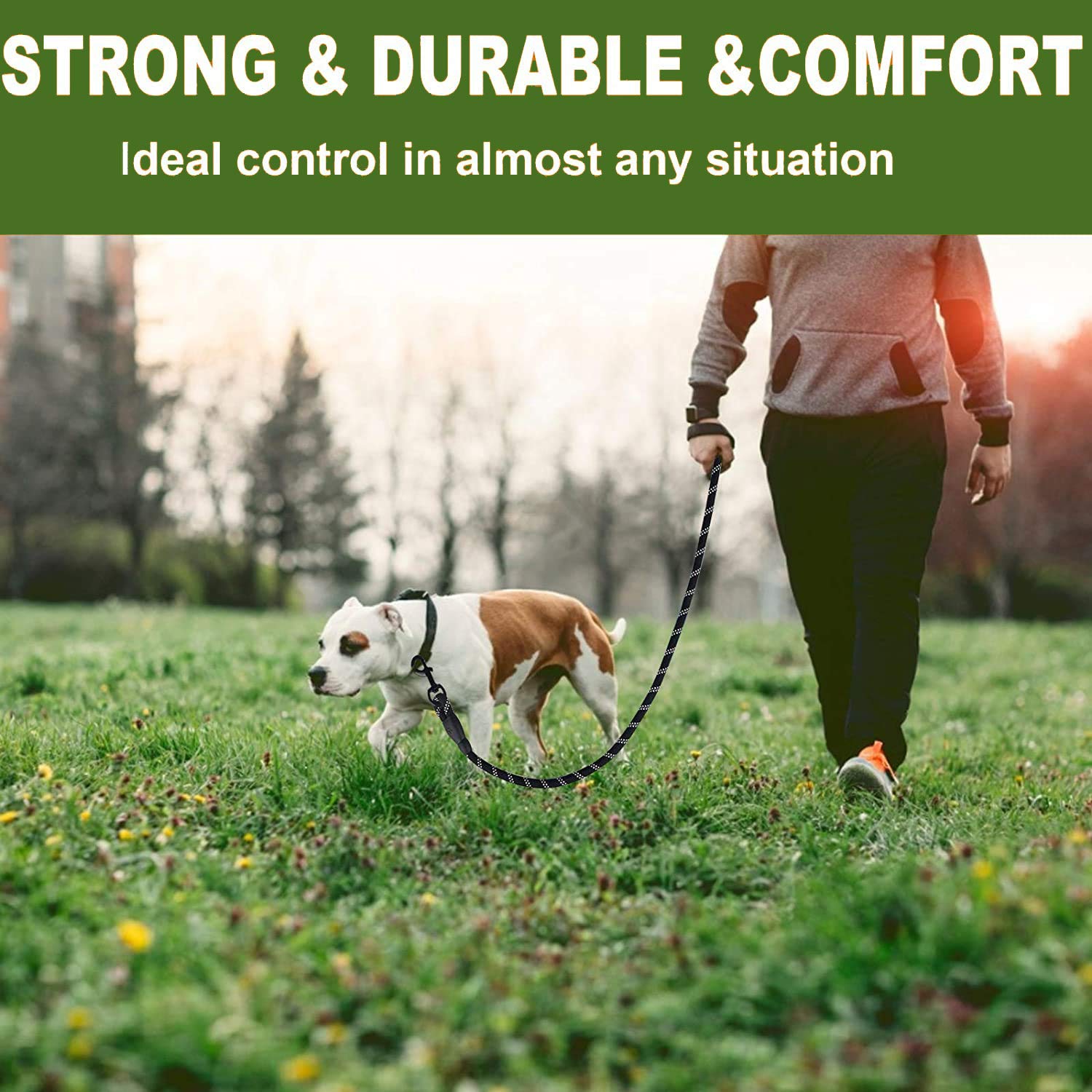 View 8