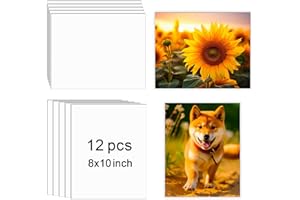 LIZOIDZSM 12 Pcs Sublimation Photo Blanks 8 x 10 Inch sublimation metal sign blanks Aluminum Photo Sign Blank Photo DIY Sign Wall Frame Poster for Living Room Bedroom