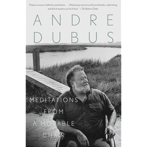 Notes From the Sofa: Briggs, Raymond: 9781783524167: Amazon.com: Books