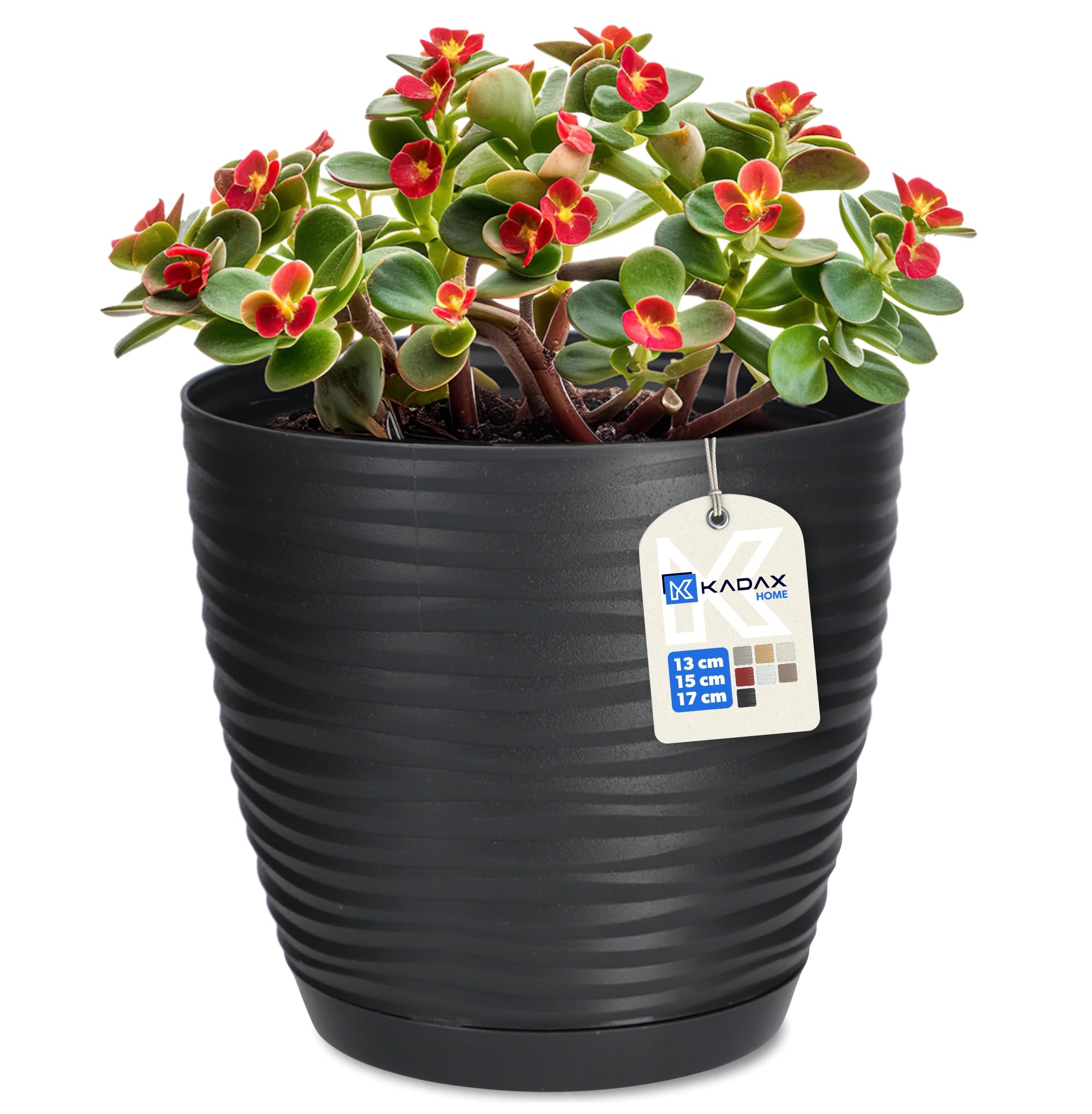 KADAX Flower Pot, Plastic Plant Pot with Saucer, Indoor Planter for Houseplants, Herbs, Lightweight Flowerpot for Living Room, Office (⌀15 cm, Anthracite)