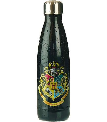Paladone Harry Potter Death Eater Bouteille D'eau En Métal | WhichOne