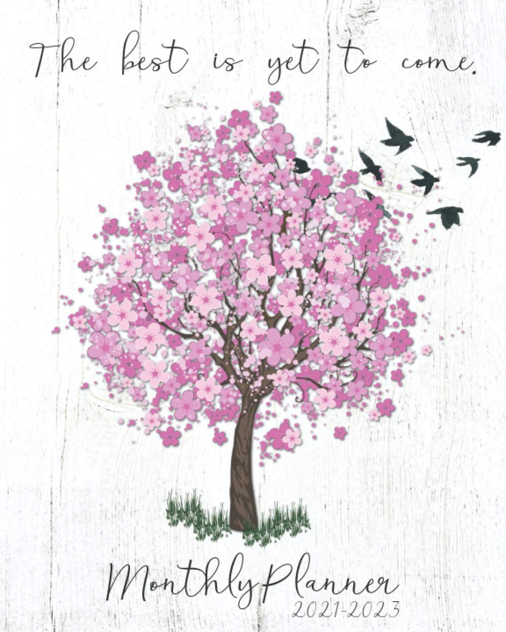 21 23 Monthly Planner The Best Is Yet To Come Three Year Planner Monthly Organizer Schedule Agenda Appointment Notebook With Holidays Goals 21 23 3 Year Monthly Planner Series Planners Active Life Amazon Com Books