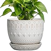 G EPGardening Ceramic Plant Pot - Succulent Pots with Drainage Hole and Saucer 5 Inch Planter for Indoor Plants Outdoor Decorative Round Flower Pot White