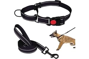 MTLIEPTE Martingale Dog Collar and Leash Set Martingale Collars for Dogs Reflective Martingale Collar for Small Medium Large Dogs(Black&L)