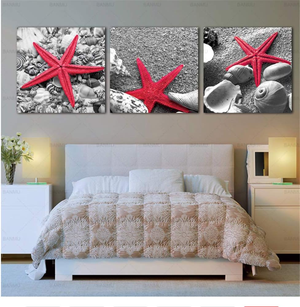 Cuadro en lienzo, arte de la pared, impresión de conchas de estrellas