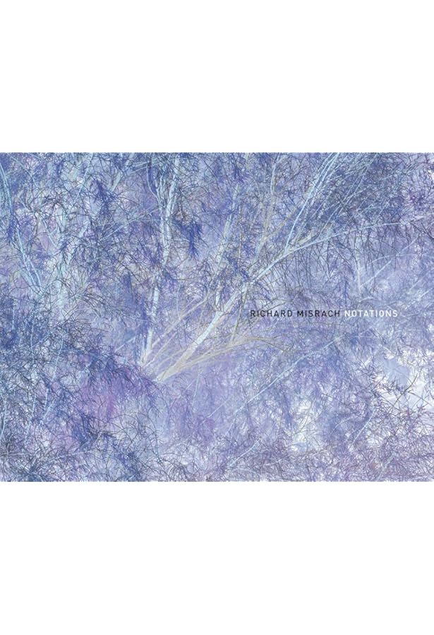 Amazon.com: Richard Misrach: Chronologies: 9781933045283: Misrach