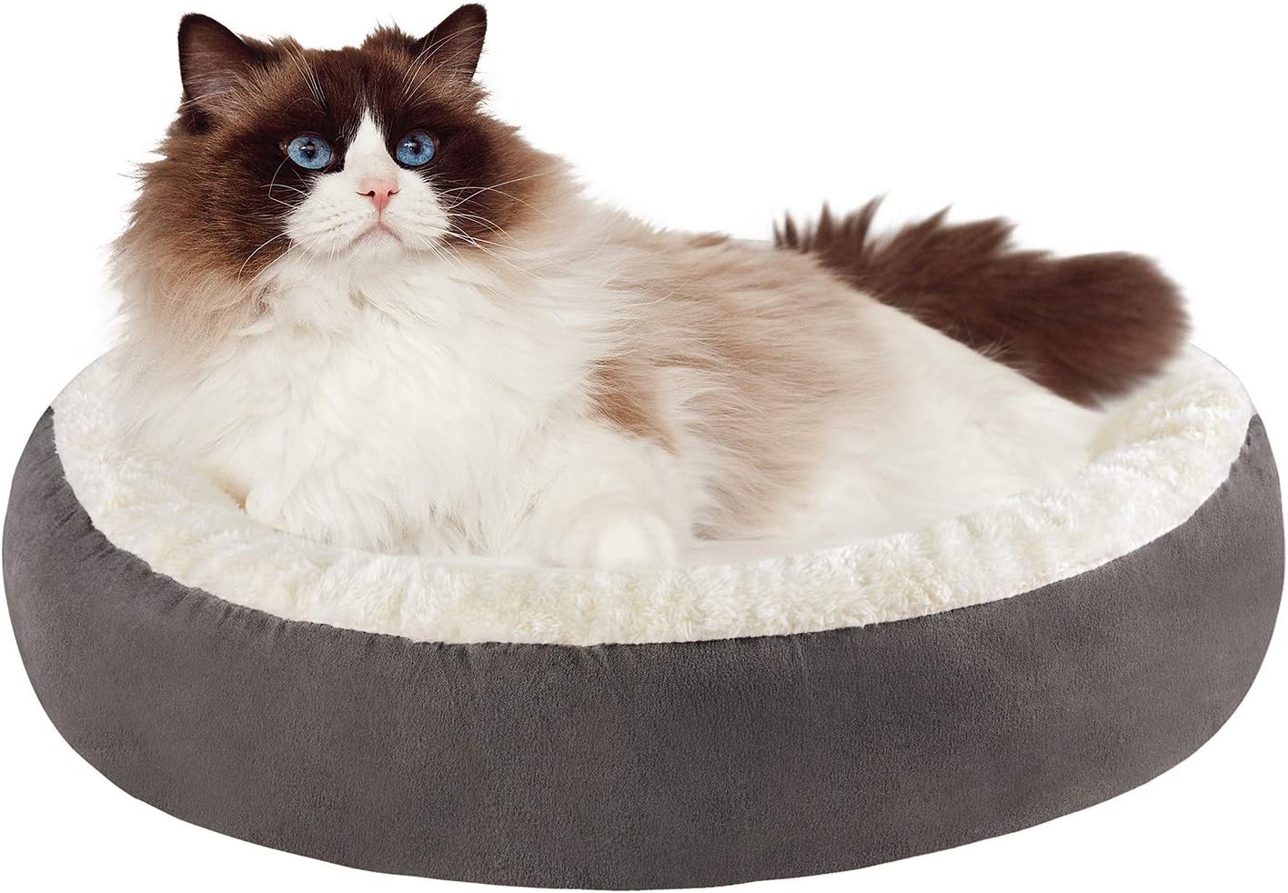 Tempcore Cat Bed for Indoor Cats, Machine Washable Cat Beds, 20 inch Pet Bed for Cats or Small Dogs, Anti-Slip & Water-Resistant Bottom : Pet Supplies