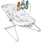 Fisher-Price Baby's Bouncer, Green/Blue/Grey (DTG94)