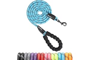 Rttochfy Rope Dog Leash 2/4/5/6/8/10 FT with Comfortable Padded Handle and Highly Reflective Threads for Small Medium and Large Dogs Heavy Duty (1/2"-5 FT, Blue)