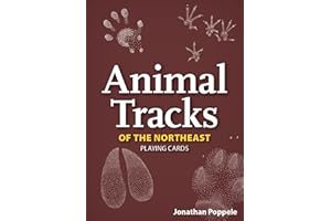 Animal Tracks of the Northeast Playing Cards (Nature's Wild Cards)