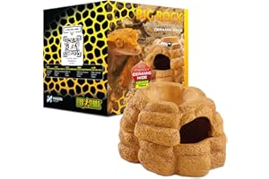 Exo Terra Big Rock Reptile Ceramic Cave with lid - Medium