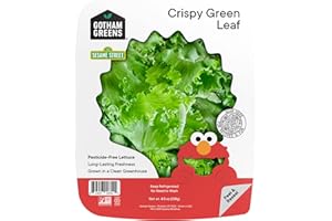 Gotham Greens, Salad Clam Green Leaf Crispy Conventional, 4.5 Ounce