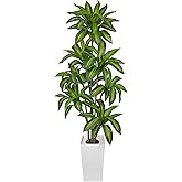 Arborus 6FT Tall Artificial Dracaena Tree, Lifelike Faux Indoor Fake Floor Plant with White Pot, Faux Tree for Home Office Living Room Entryway Décor