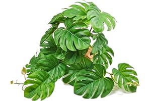 Woyrise Reptile Artificial Plants for Terrarium, Amphibian Habitat Decor Plant, Bearded Dragon Tank Decorations fit Gecko Lizard Chameleon Ball Python Snake Frog - Monstera Bush