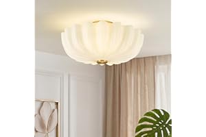 HWH INVESTMENT Semi Flush Mount Ceiling Light, 2-Light Modern Ceiling Light Fixture for Kitchen, 16 Inch Hallway Light Fixtur