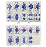 YFFSYLCH Plant Cell & Animal Cell Mitosis and