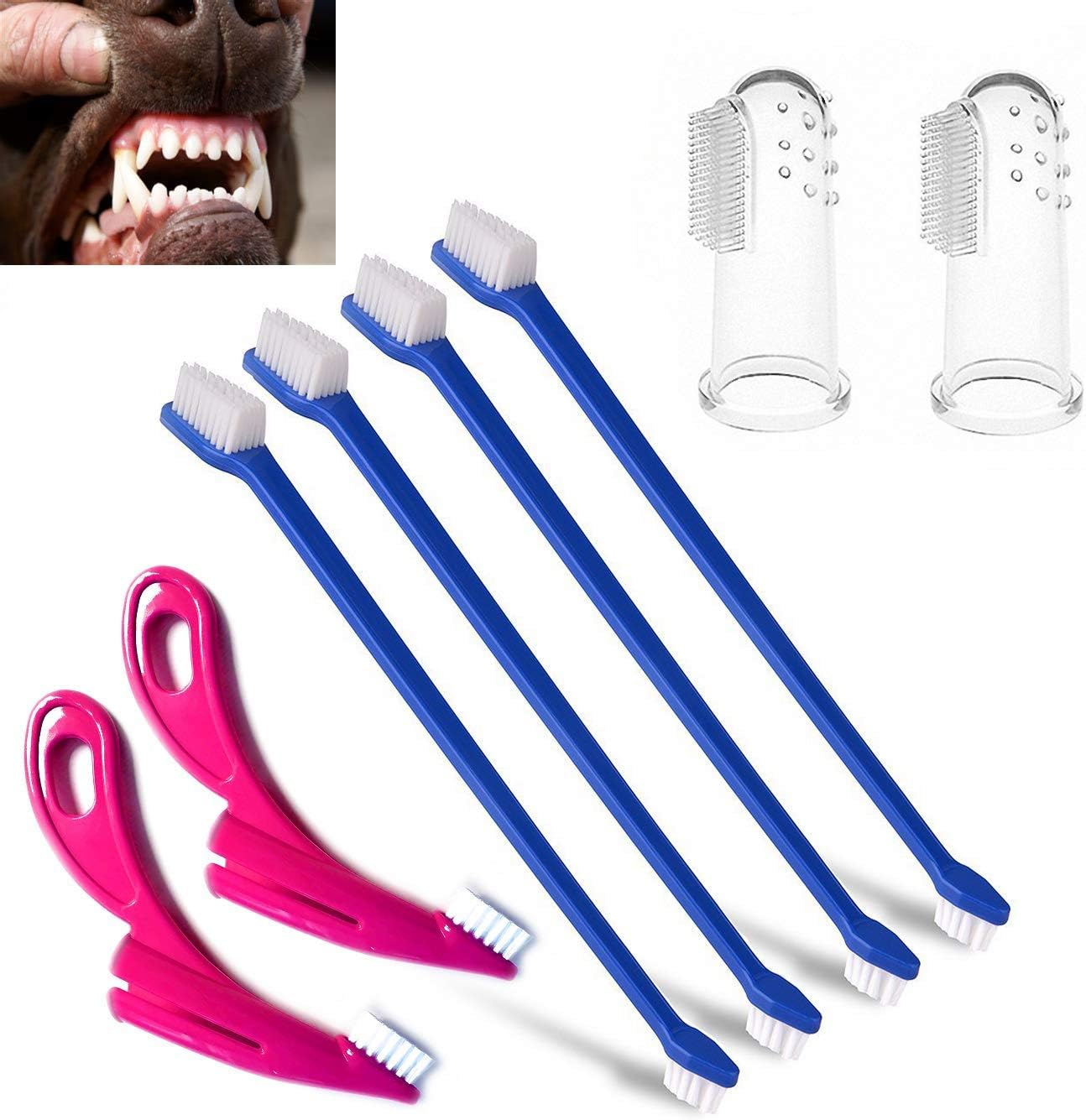 ASNME Dog & Toothbrush Set, 4 Pack Finger Toothbrushes and