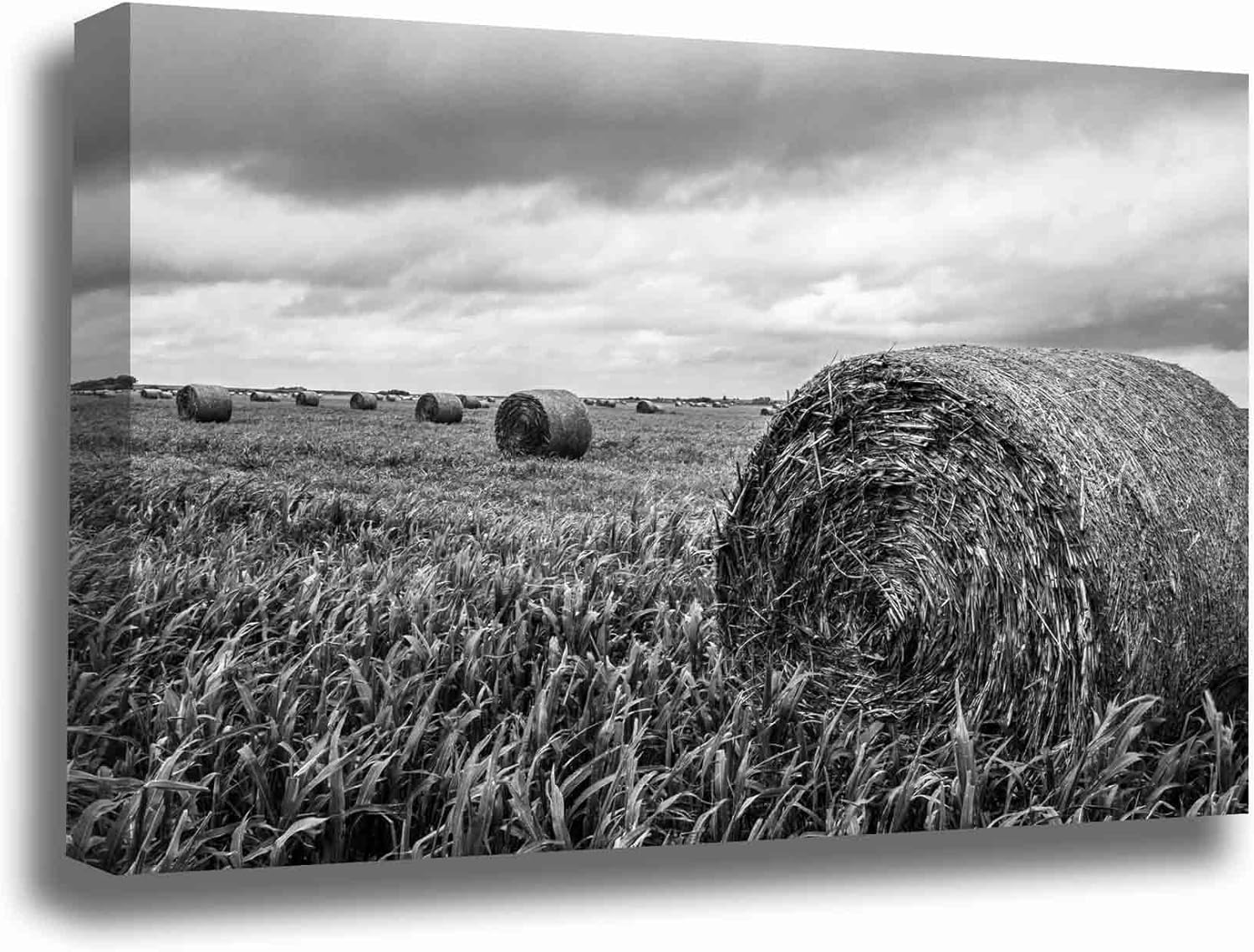 Photographs - Country Canvas Wall Art (Ready to Hang) Black and White Gallery Wrap of Round Hay Bales in Wheat Field in Kansas Farm Photography Farmhouse Decor (1.5, 30