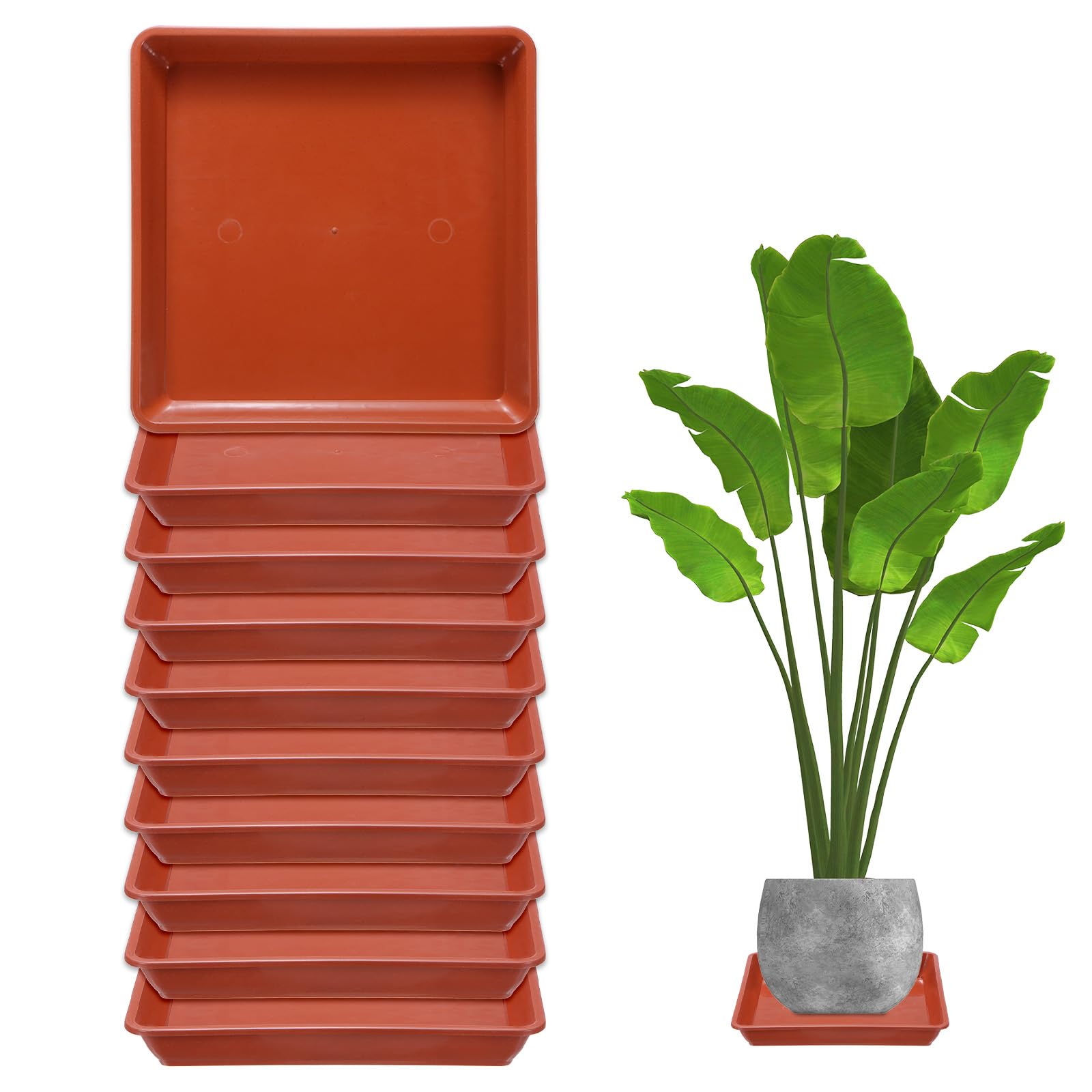 M METERXITY 10-Pack Plant Pot Saucers, 7 Inch 18cm Plastic Square Flower Drip Tray, Pot No Holes Durable Plant Trays for Pots Base Indoors/Outdoors Plants [Brick Red]