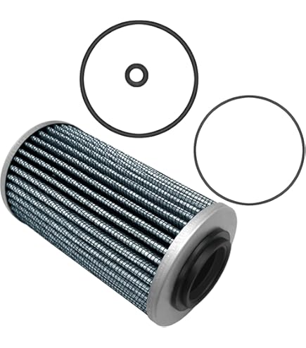 Amazon.com: Sea-Doo Genuine OEM Oil Filter 420956744