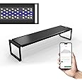MagTool Brite Series Auto Aquarium LED Light with App-Controlled RGB+W LEDs, ADA Style Extendable Bracket, Supports Custom Sunrise/Sunset Colors in Manual/Auto/Custom Modes (Brite 60)