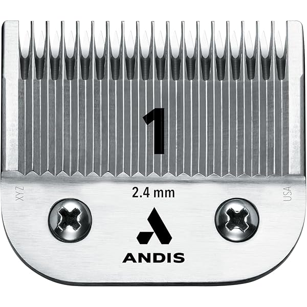 Amazon.com: Oster Professional 76918-086 Size 1 Hair Clipper