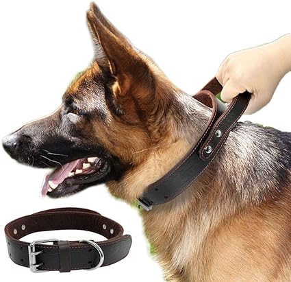 15 foot training leash