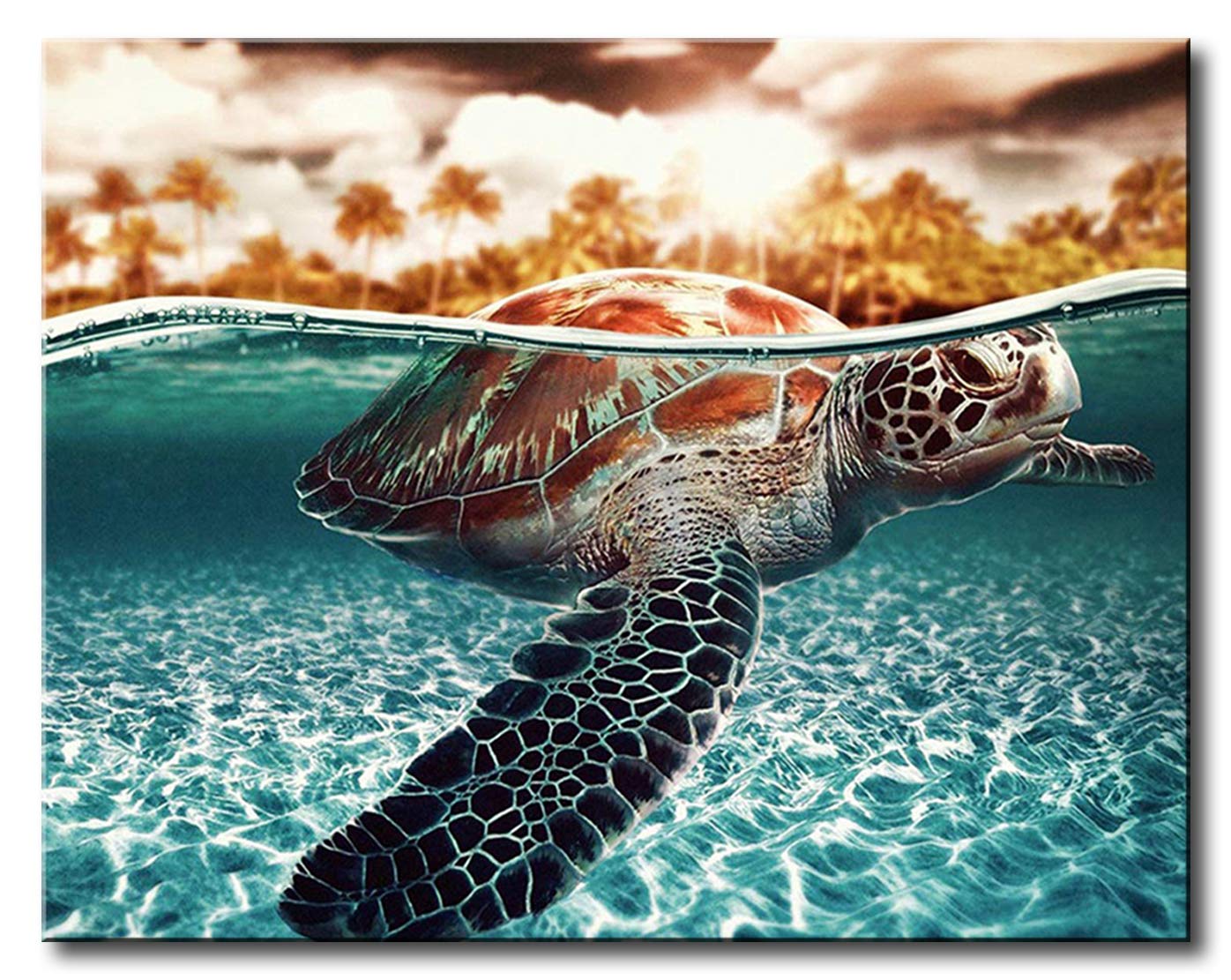 Shukqueen DIY Paint by Numbers for Adults DIY Oil Painting Kit for Beginner - Big Turtle 16x20 Inch (Self-assembly Frame)