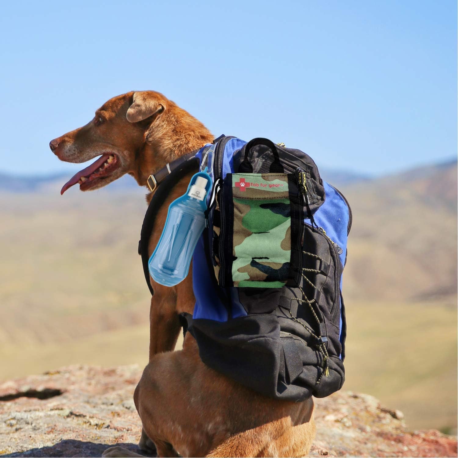 Mejores botiquines de primeros auxilios para perros [year] (análisis) 4
