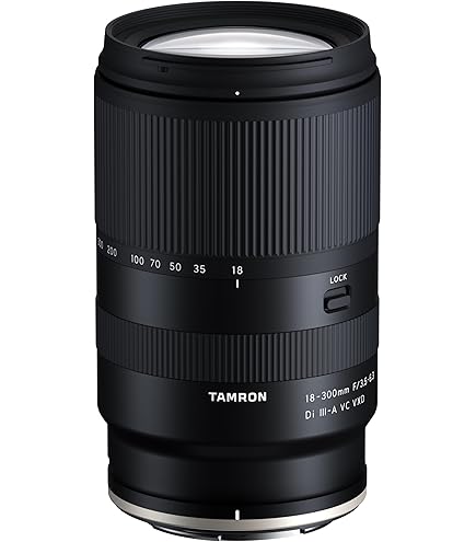 TAMRON 16-300mm 3.5-6.3 VC B016 ニコン用 Tamron 16-300mm f/3.5-6.3 Di II VC PZD Macro review: Jack of