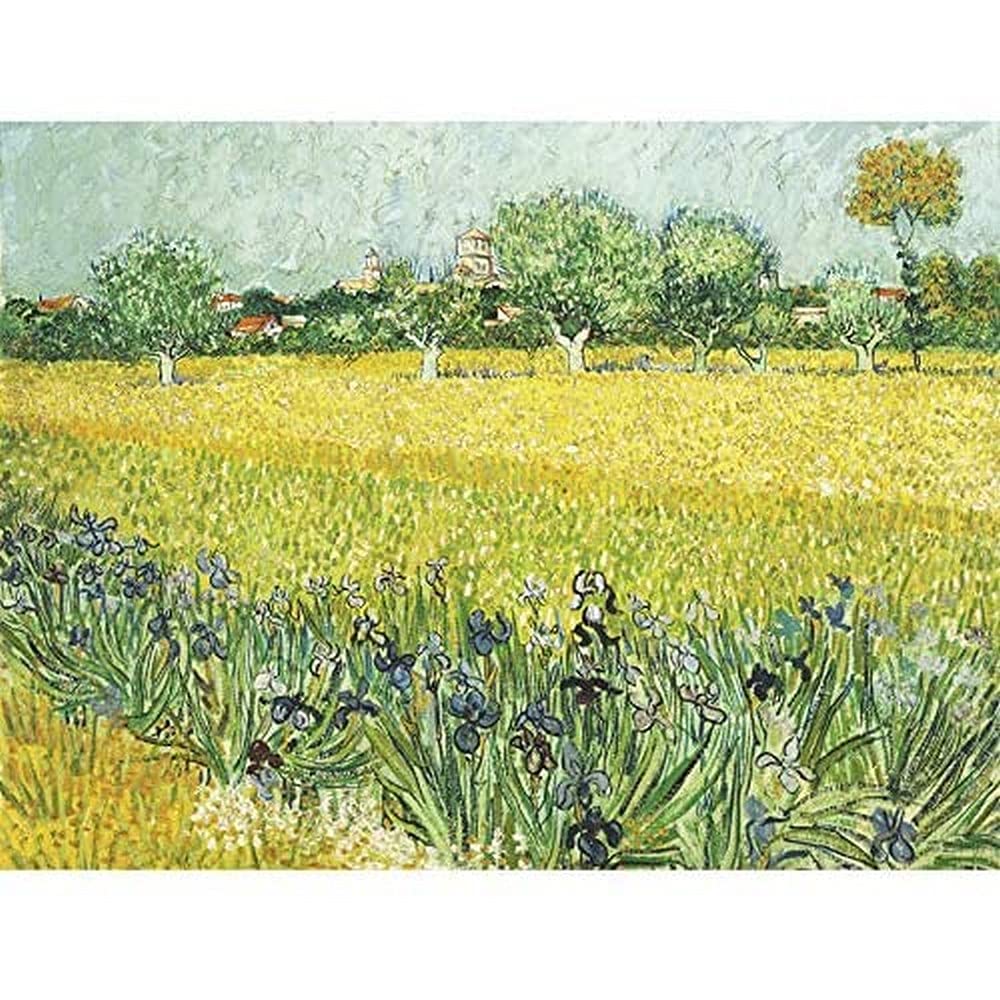 Vincent Van Gogh Veld Met Bloemen Bij Arles Art Print Canvas Premium Wall Decor Poster Mural