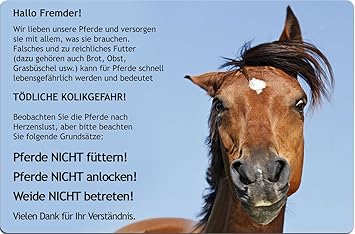 +++ PFERDE NICHT FÜTTERN - METALL WARNSCHILD SCHILD STALLTAFEL Boxenschild SIGN - PFD 06