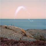 An Overview on Phenomenal Nature