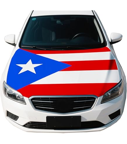 Bonnet Car Cover: Ultimate Protection for Your Vehicle's Hood