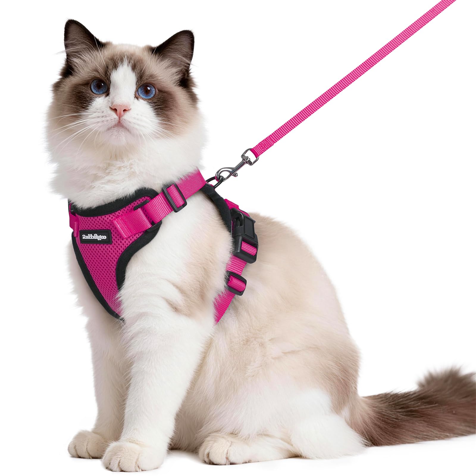 rabbitgoo Cat Harness and Lead Set, Adjustable Escape Proof Cat Lead for Walking, Reflective Kitten Harness Set, Soft and Comfortable for Small Cats, Rose Red, M