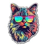 Yoonek Graphics Maine Coon Cat Vinyl Decal Sticker