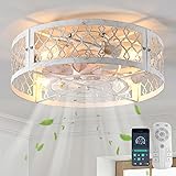 Garwarm Caged Ceiling Fan with Light,20" Flush
