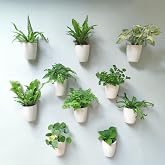 LaLaGreen Wall Planter for Indoor Plants (5in, 10 Pack) White Self-Watering | Wall Mounted Living Hanging Eco Wall Planter System, Trendy Live Wall Garden for Herb
