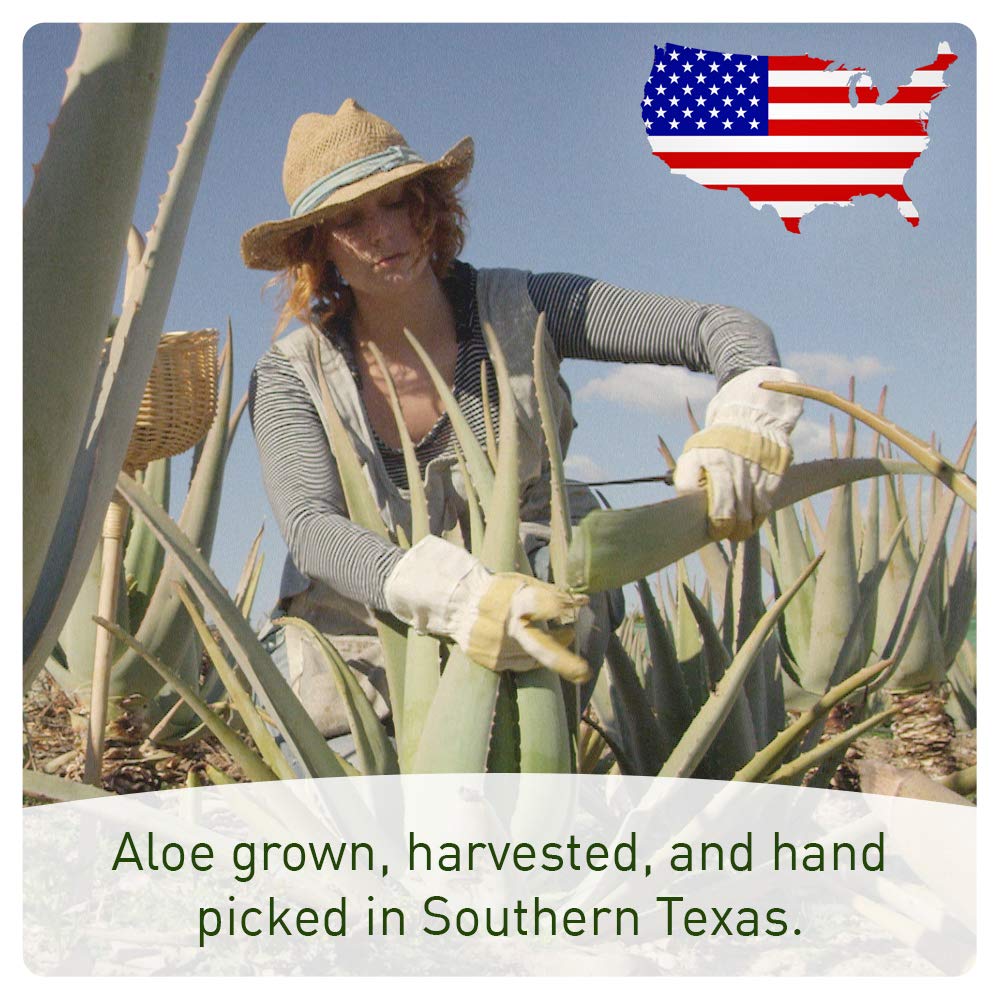 Organic Aloe Vera Spray for Body & Hair - From Freshly Cut Aloe Plant - Extra Strong - Easy to Apply - No Thickeners So It Absorbs Rapidly With No Sticky Residue - Made in USA (Big 12 fl oz) : Beauty