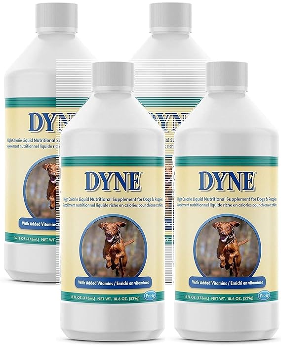 Dyne 4 Pack High Calorie Liquid Supplement Dogs, 16 Ounces