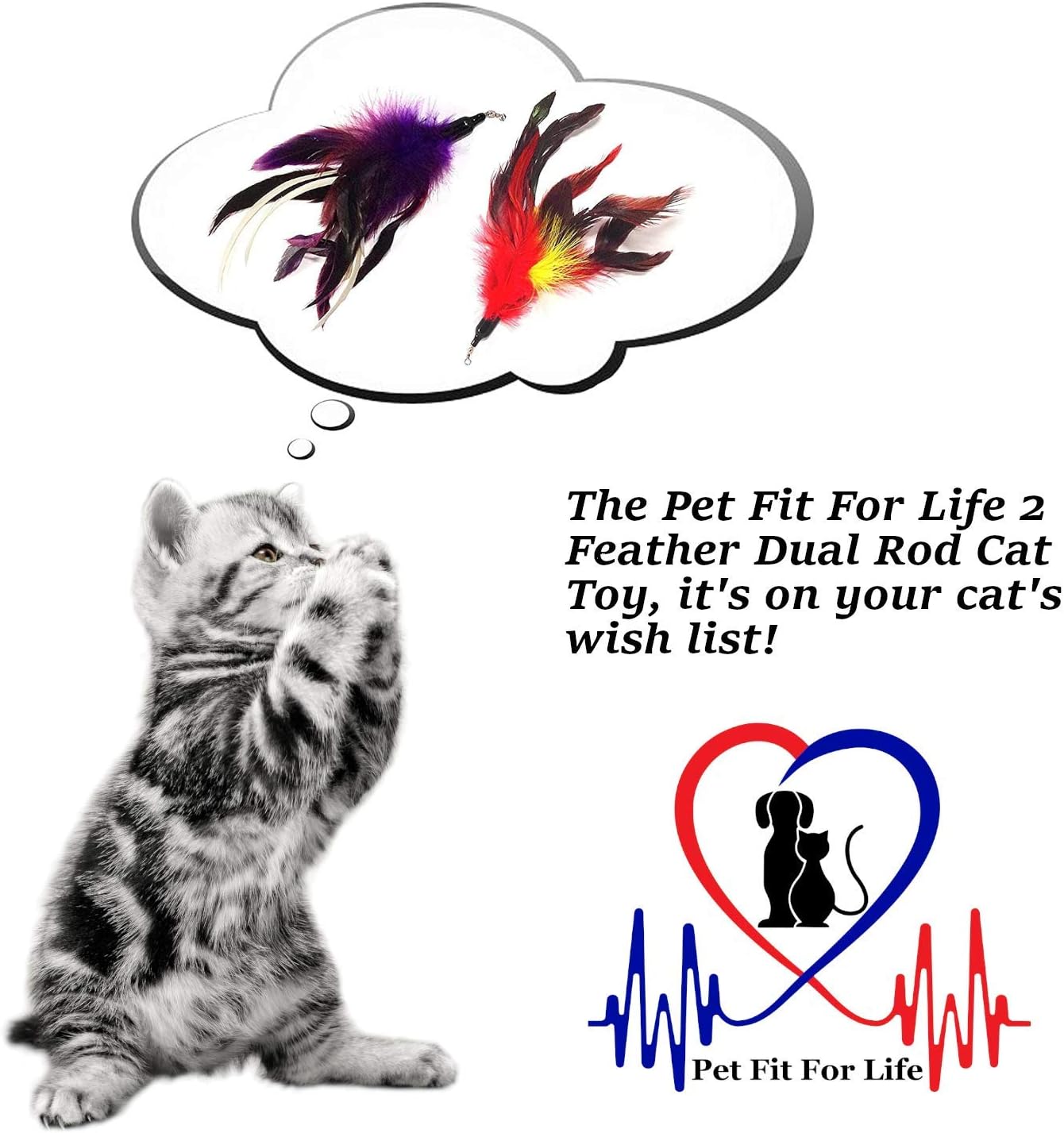 Pet Fit For Life Multi Feather Teaser and Exerciser for Cat and Kitten - Cat Toy Interactive Cat Wand : Pet Supplies